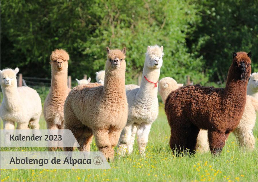 Alpaka Kalender 2023 (letztes Jahr)